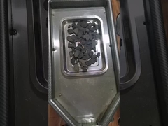 Polygonum multiflorum en poudre