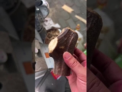 Herbes médicinales coupées en tranches